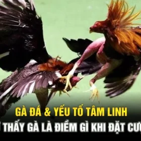 ga-da-yeu-to-tam-linh-–-mo-thay-ga-la-diem-gi-khi-dat-cuoc-